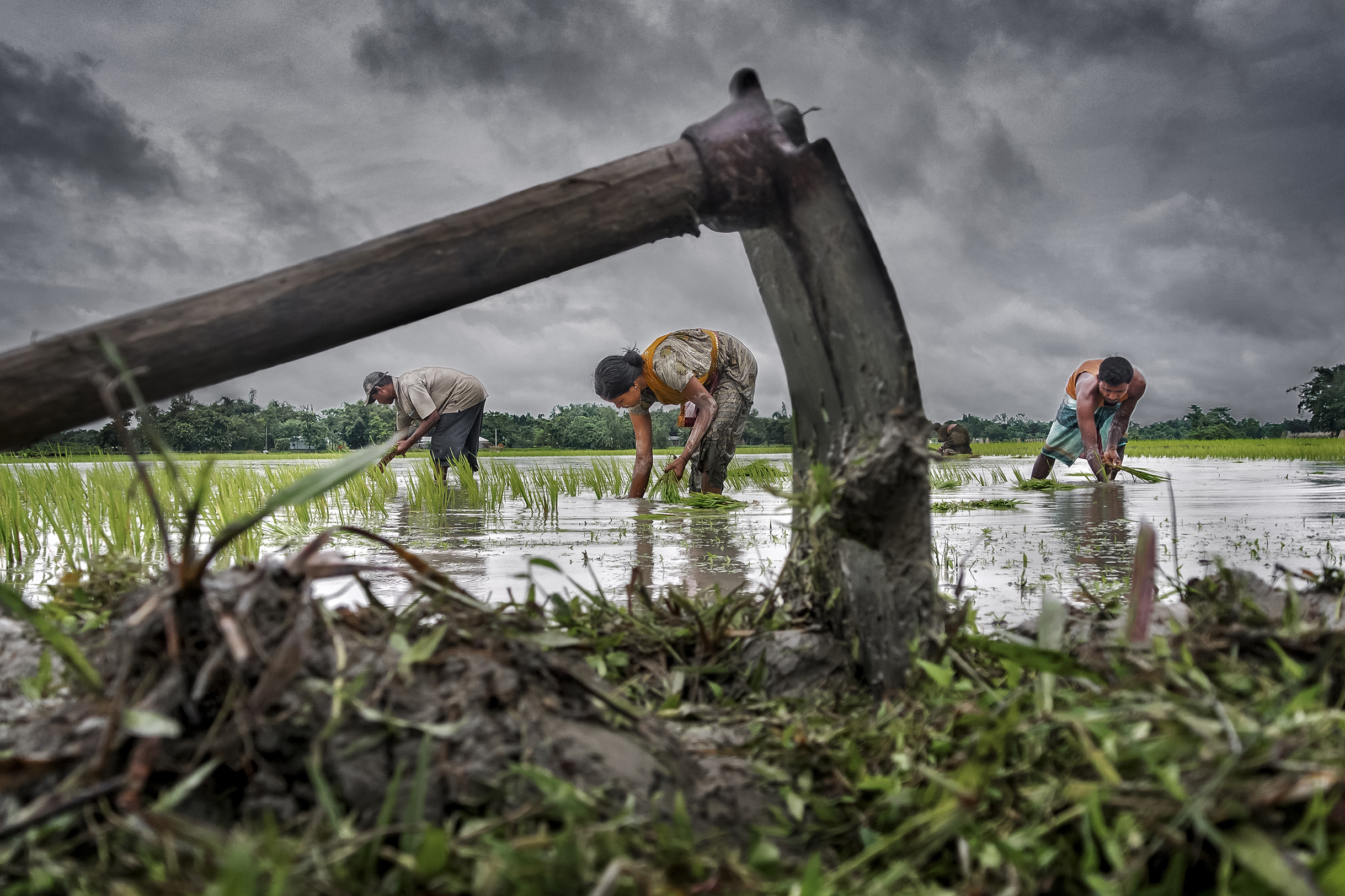 Image result for poor farmer india