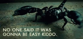 Orphan black scorpion article