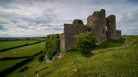 Irishpotatomain article