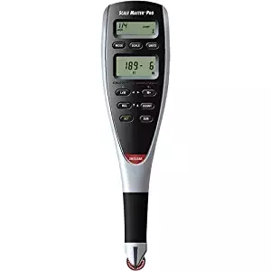 scale?1496179888
