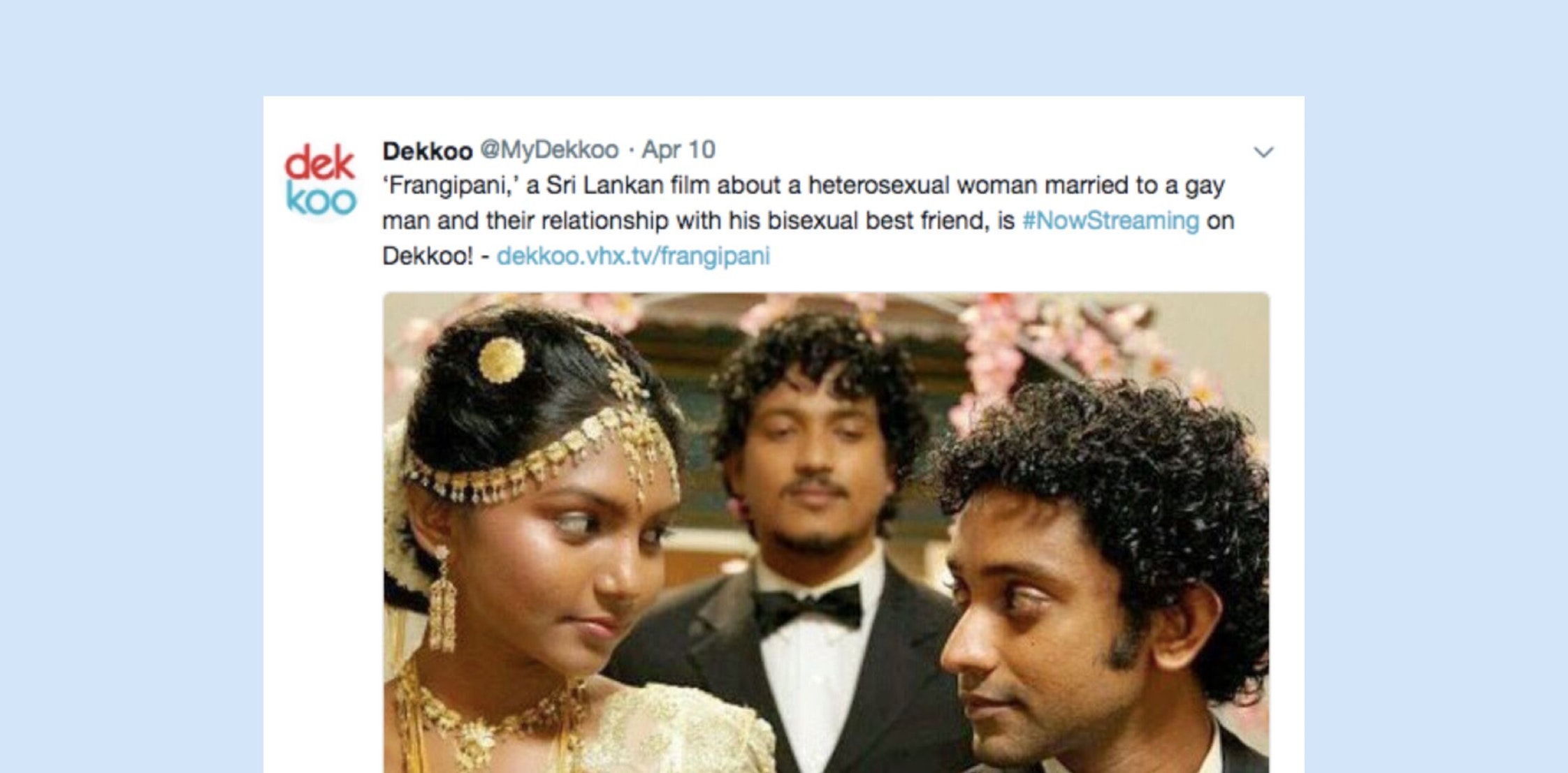 Stories by Paula Rosenberg : Contently