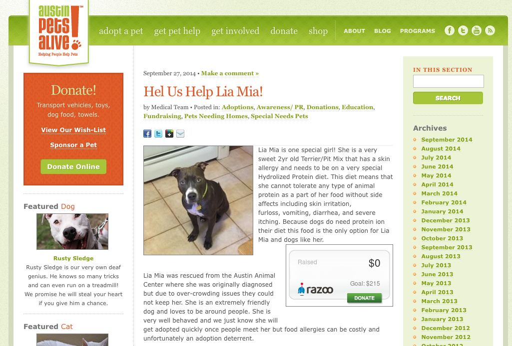 This Org's Content Marketing Saves Thousands of Dogs and Cats From