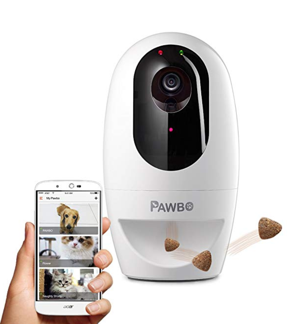 5 Best Pet Cams and Monitors for Dogs American Kennel Club