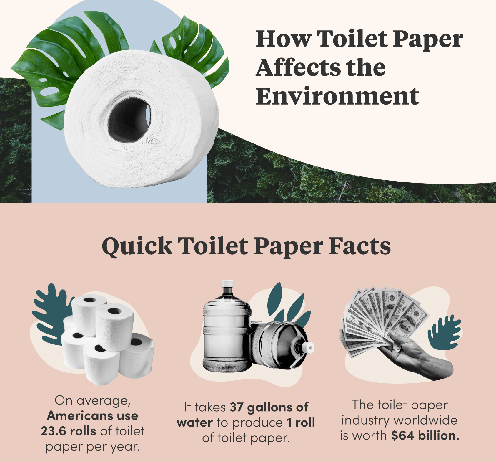 Stories by Ashley Cottrell Contently