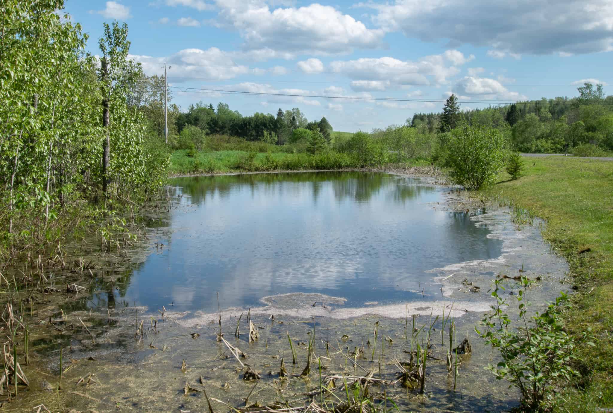 Contemporary Country Home For Sale Fort Kent, Maine