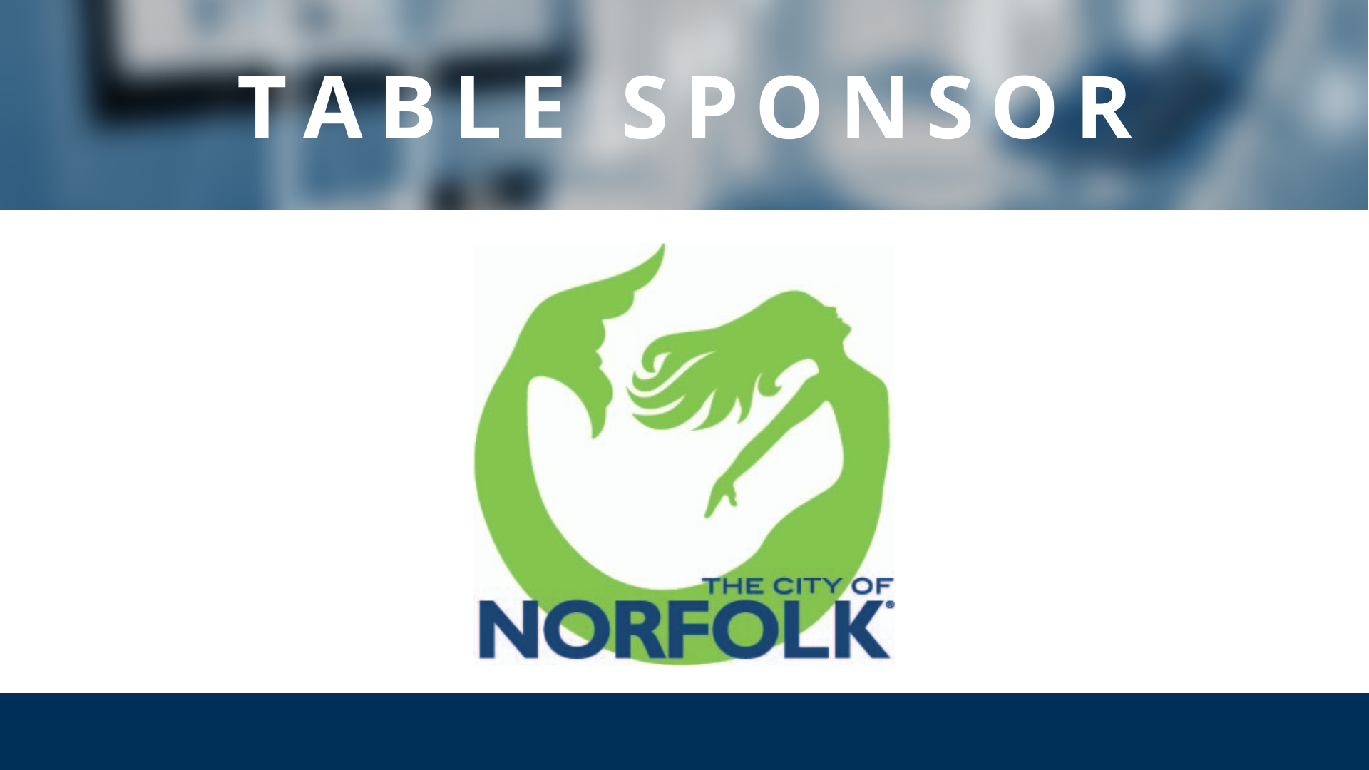 Sponsor Logo