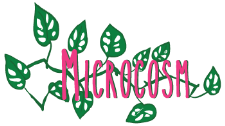 Event Logo