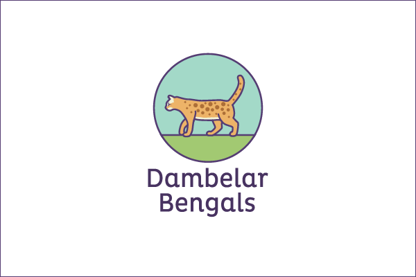 dambelar-bengals3.png