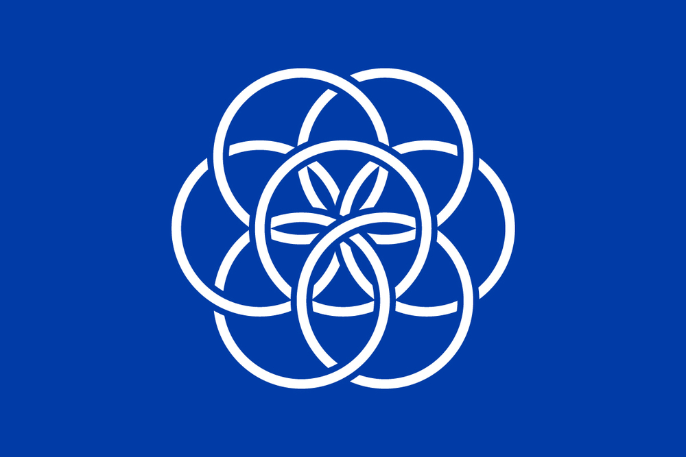 Earth flag