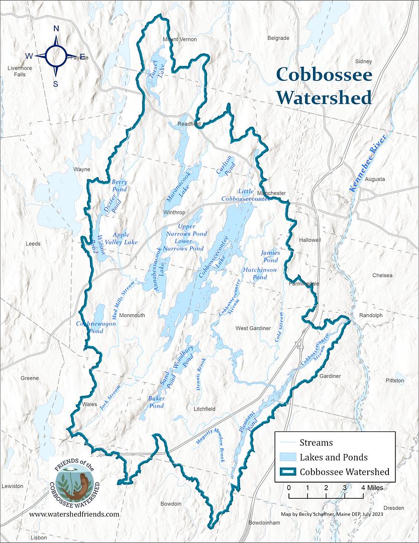 Watershed Friends: The Shield Between Our Lakes and Invasives
