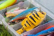 Tackle Box Essentials