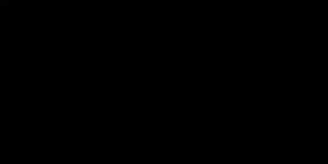 Video abspielen
