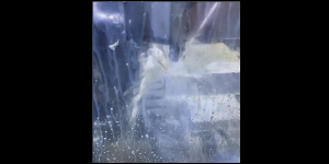 Play video