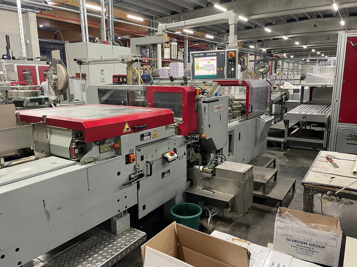 2009 - Horauf BDM Speed case maker with inline Solema Cartesio palletizer