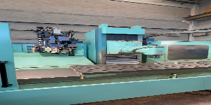 Riproduci video