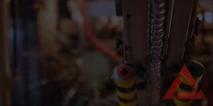 Reproduce el video