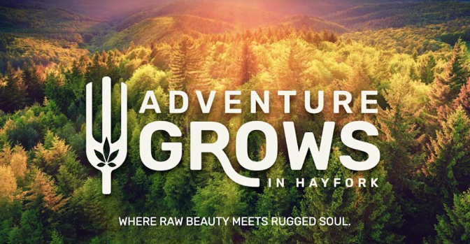 Adventure Grows in Hayfork: A Bold New Chapter for Cannabis Tourism