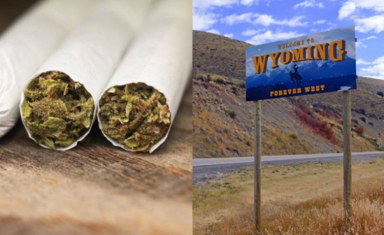 Wyoming Declares New War on Simple Marijuana Possession After Trump Policy Reversal