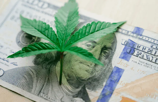 Why Paylient Exists: Bringing Clarity, Compliance, and Confidence to Cannabis HR