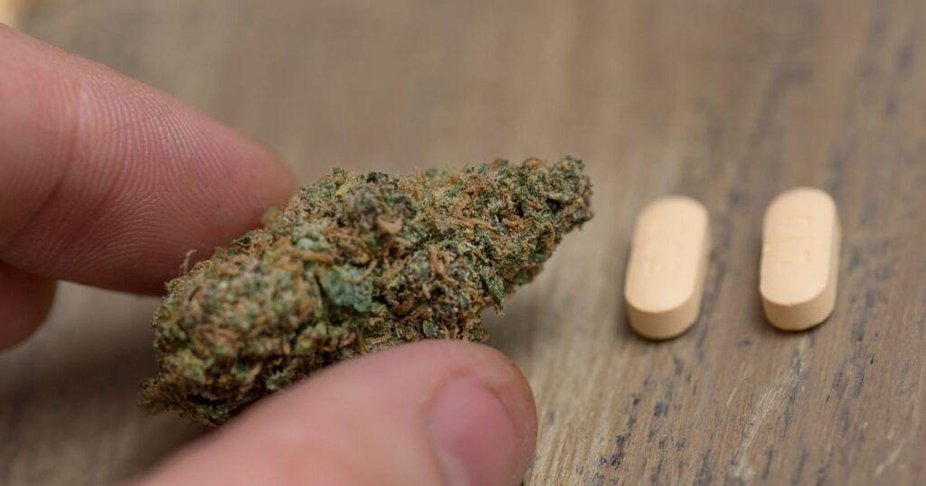 Legal Cannabis Access Reduces Opioid Prescriptions, Per Studies