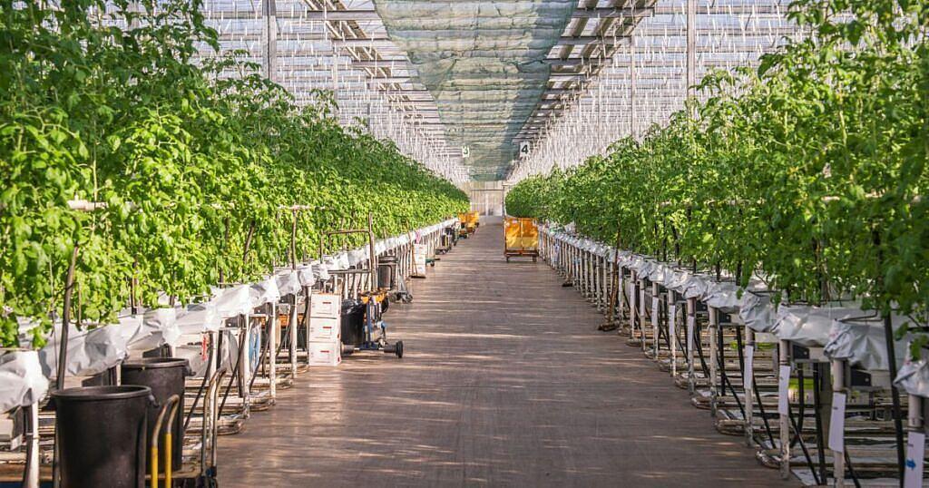 Why Paylient Exists: Bringing Clarity, Compliance, and Confidence to Cannabis HR