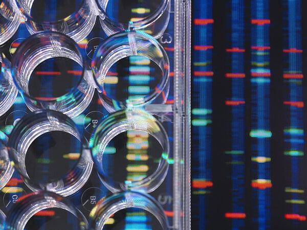 Exploring the Frontiers of Molecular Genetics