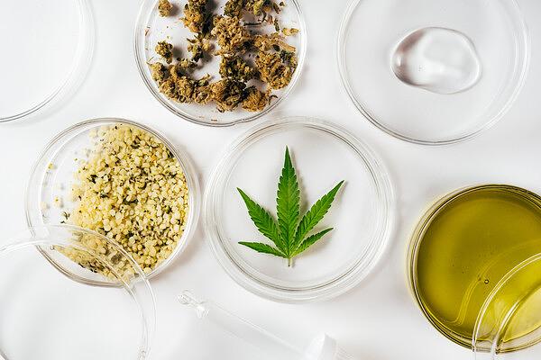 Elevating Cannabis Testing, LabLink's Comprehensive Solutions