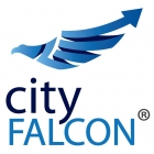 CityFALCON