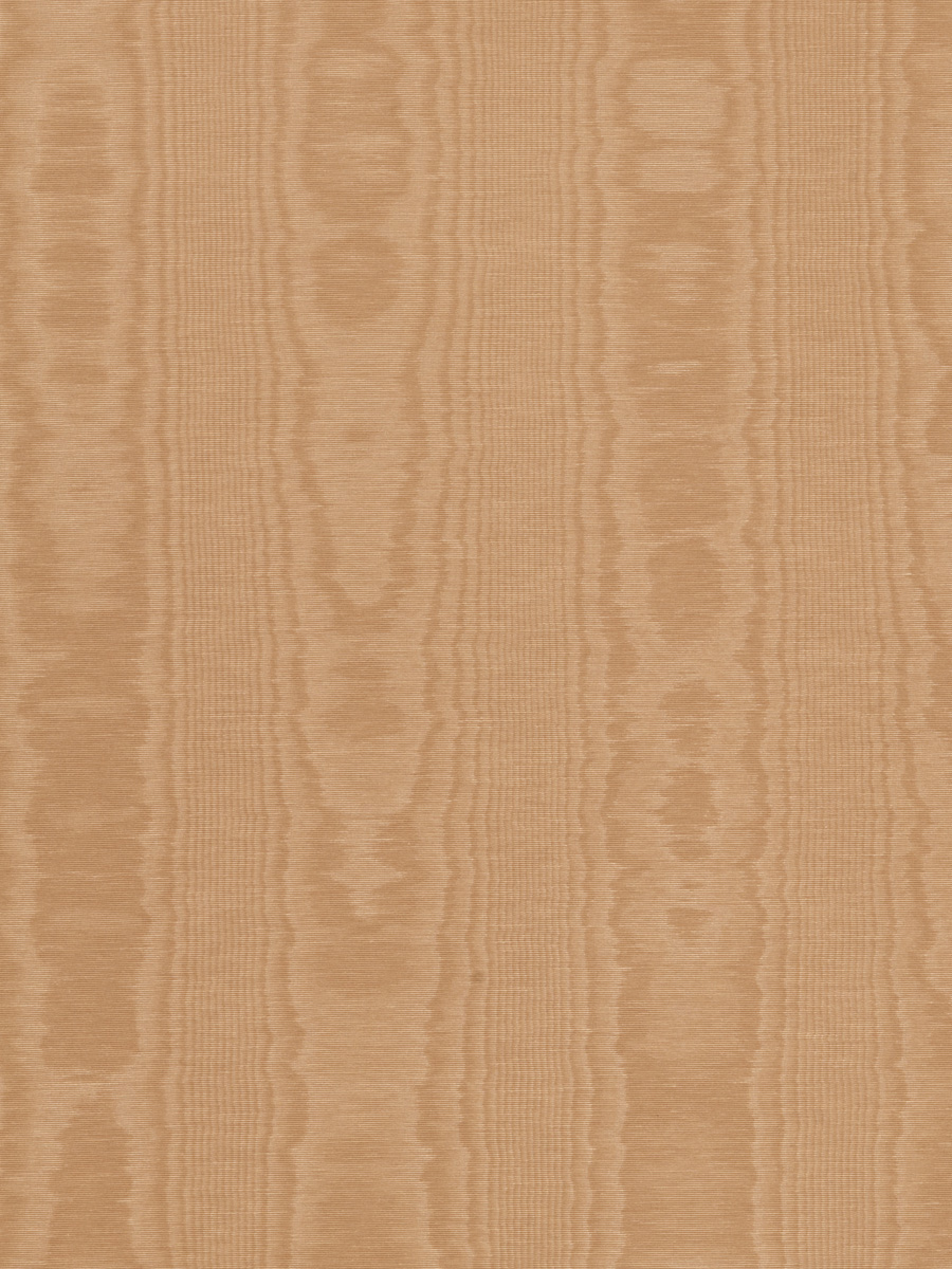 01001 Desert Wood