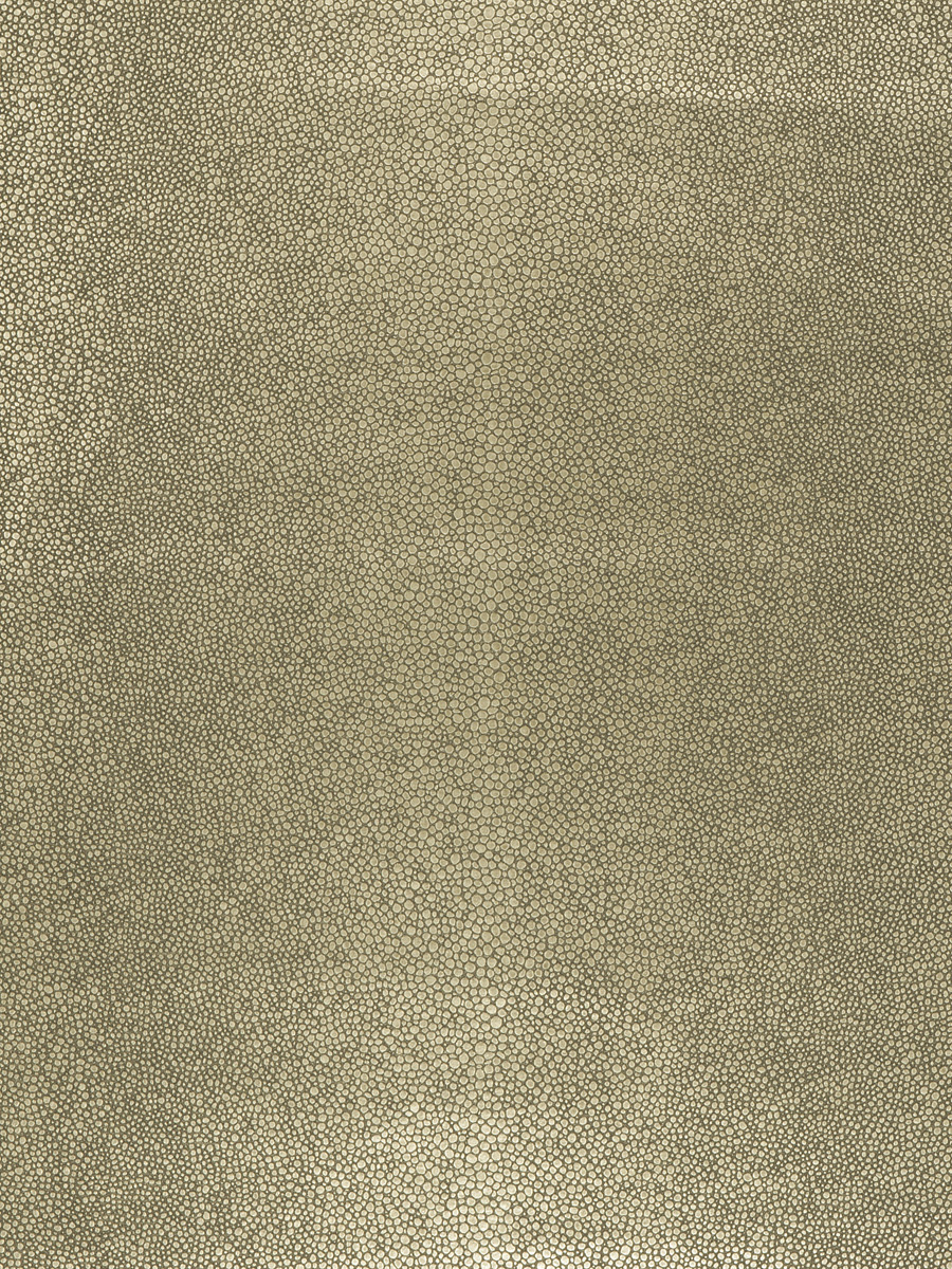 Nubo Pant Pebble