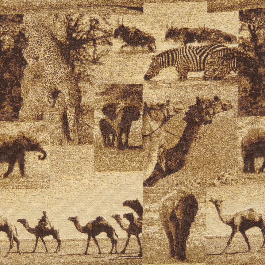 Forever Africa Desert