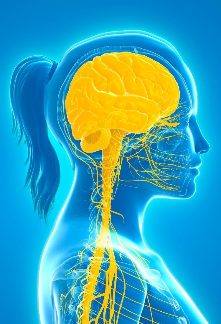 Why should I consider a hair transplant abroad at one of these facilities?