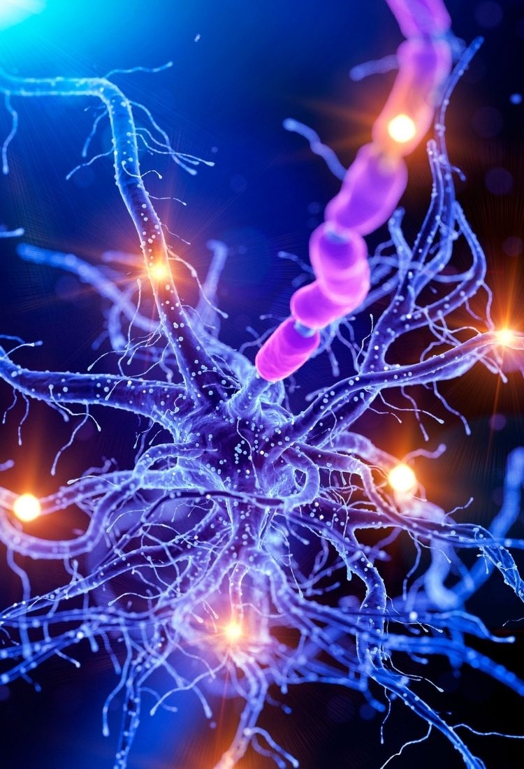 What aesthetic surgeries are offered at Doctor Zen Clinic in Istanbul?