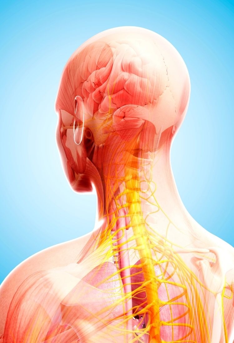 Why is Esthetic Clinic Turkey a popular destination for medical tourists?