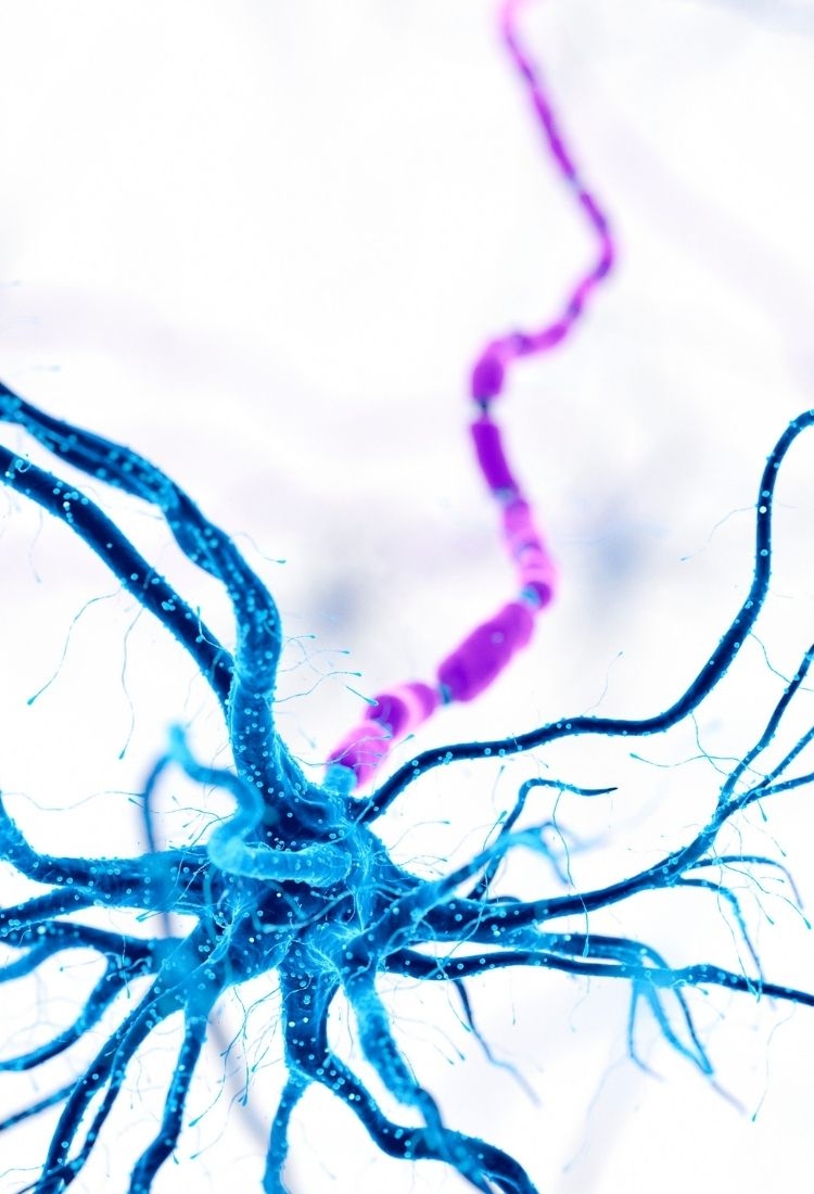 What makes Heva Clinic in Istanbul a top choice for hair transplants?