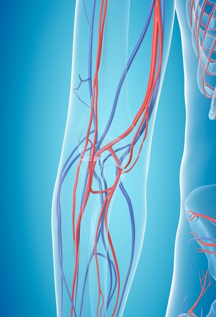 Personalized Hair Transplant Solutions at CM Hair Clinic