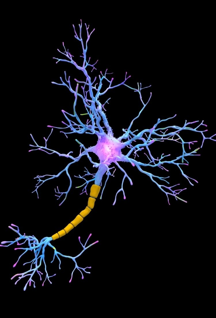 The Best Hair Transplant Clinics for Medical Tourists