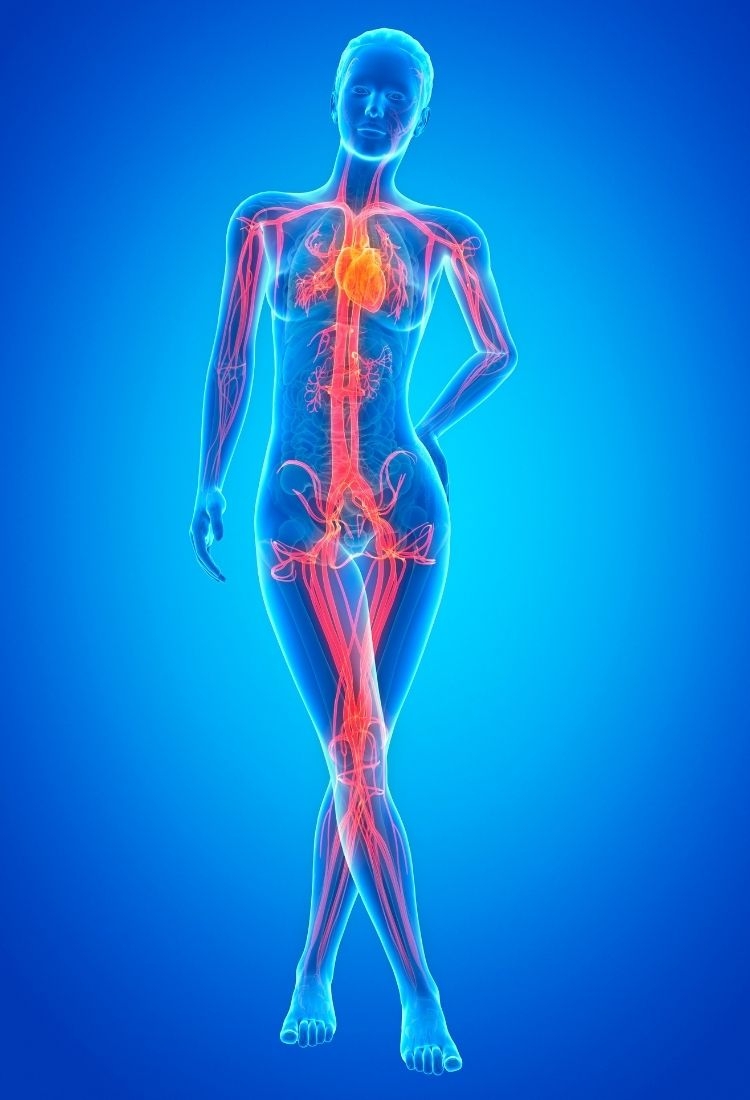 What makes Doctor Zen Hair Transplant Clinic ideal for medical tourism?