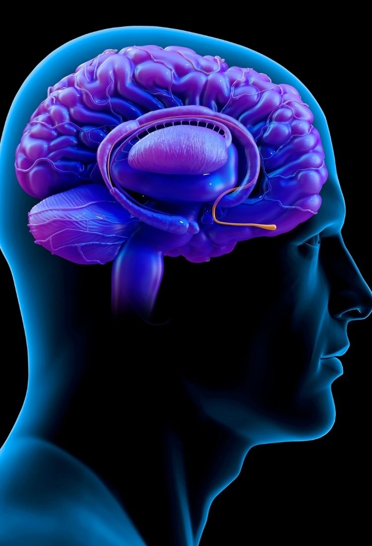 What are the savings I can expect compared to U.S. hair transplant clinics?