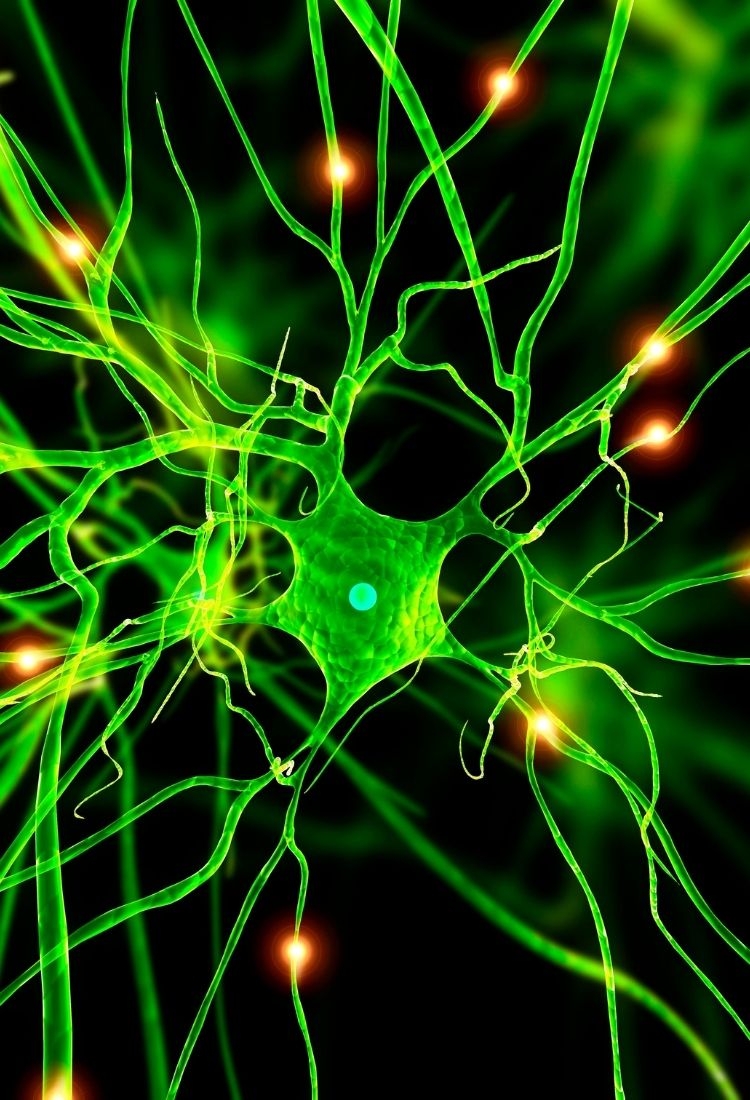 What are the main hair transplant techniques used at CM Hair Clinic?