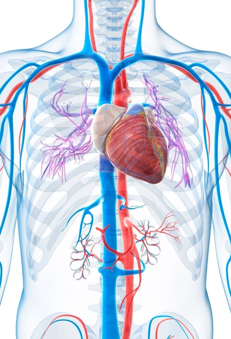 Personalized Hair Transplant Solutions at CM Hair Clinic