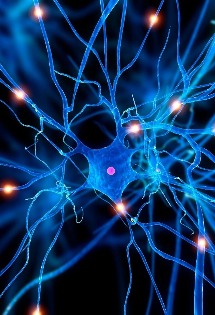 Affordable Hair Transplants at Leading Clinics Worldwide