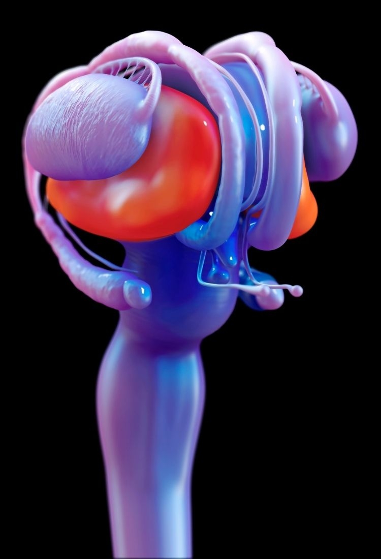 How can hair transplants at Esthetic Clinic Turkey improve your appearance?