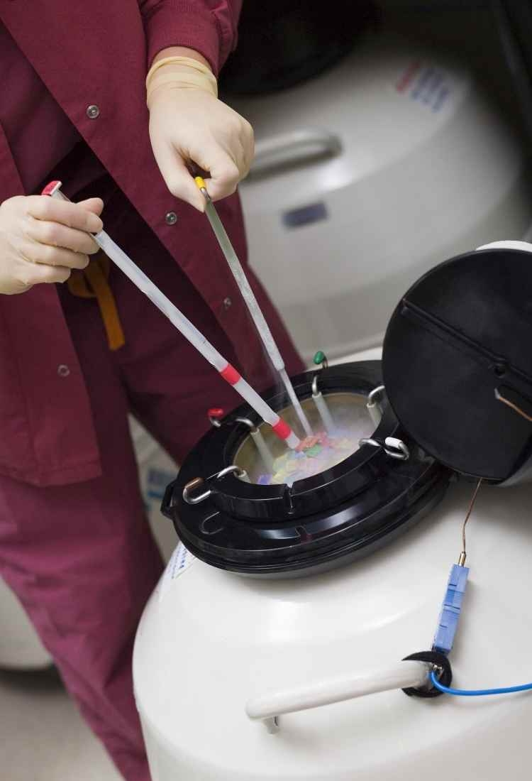 What procedures are available for hairline lowering at Vantage Clinic in Turkey?