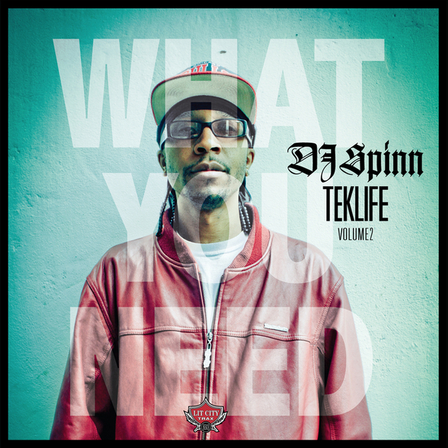 DJ Spinn - What You Need