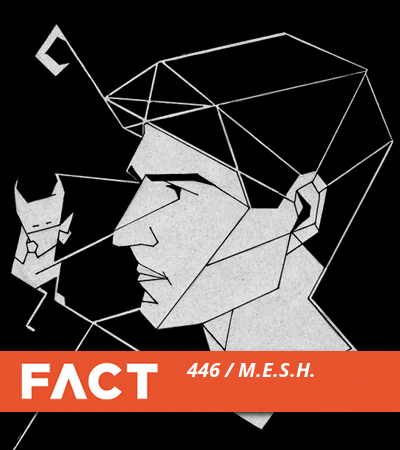 FACT mix M.E.S.H.