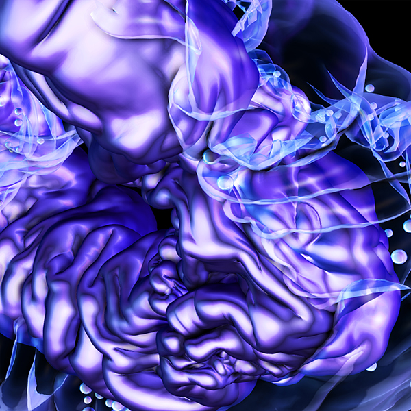 Sinjin Hawke and Zora Jones Sinjin Hawke and Zora Jones ready Fractal Fantasy compilation, Visceral Minds