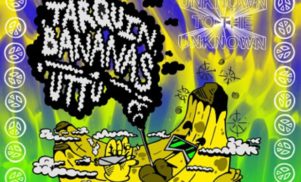 Dj Haus Announces New Compilation Dj Haus Enters The Unknown