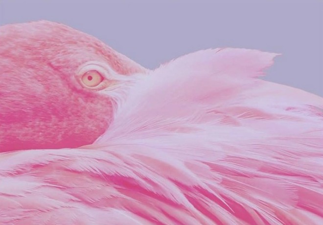 Deftones drop 'Doomed User' from first album in four years, Gore