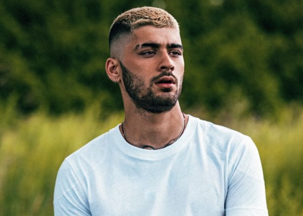 Image result for zayn
